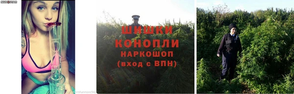 прущая мука Михайлов