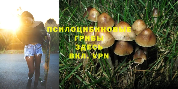 ALPHA PVP Надым