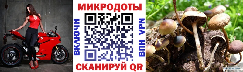 Галлюциногенные грибы прущие грибы  Пыталово 